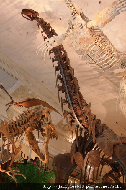 IMG_5669.JPG IMG_5669.JPG