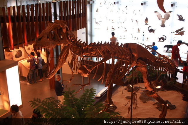 IMG_5685.JPG IMG_5685.JPG