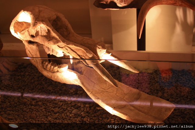 IMG_5690.JPG IMG_5690.JPG