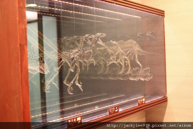 IMG_5701.JPG IMG_5701.JPG