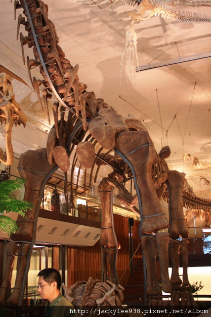 IMG_5670.JPG IMG_5670.JPG