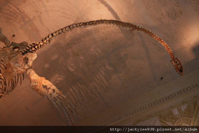 IMG_5676.JPG IMG_5676.JPG