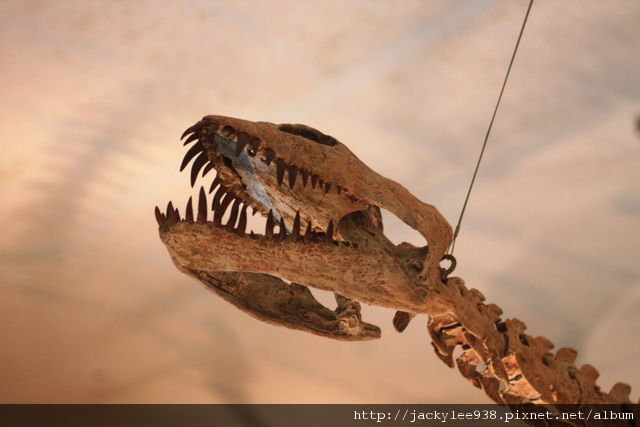 IMG_5694.JPG IMG_5694.JPG