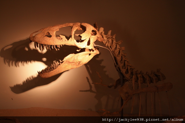 IMG_5683.JPG IMG_5683.JPG