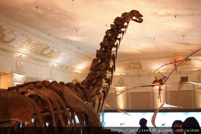 IMG_5691.JPG IMG_5691.JPG