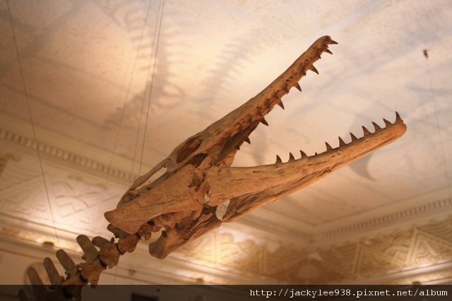 IMG_5699.JPG IMG_5699.JPG