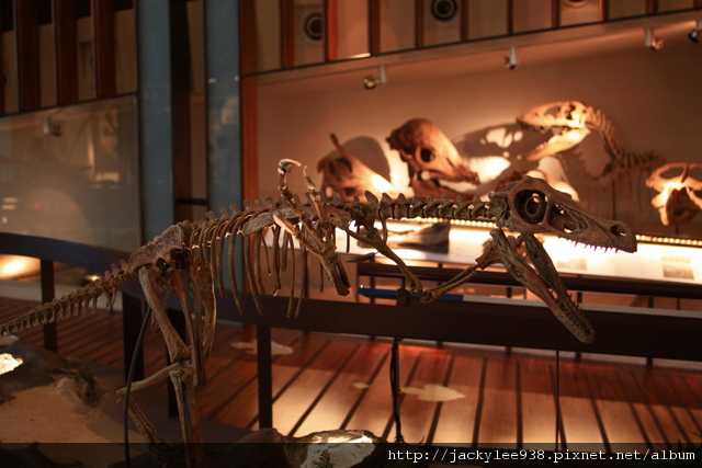 IMG_5677.JPG IMG_5677.JPG