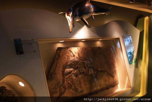 IMG_5678.JPG IMG_5678.JPG