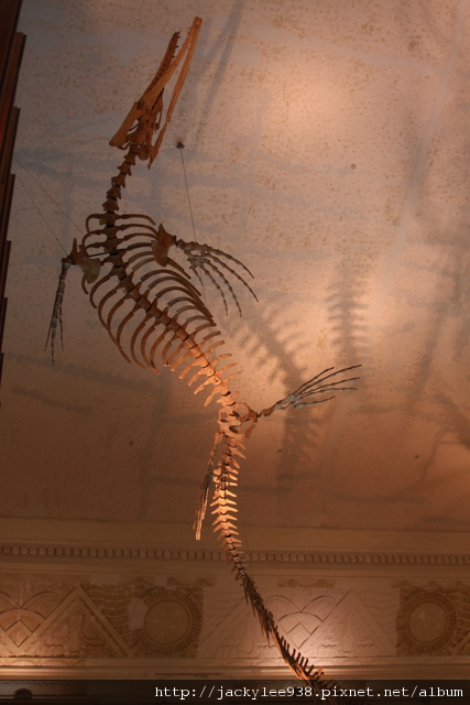 IMG_5674.JPG IMG_5674.JPG