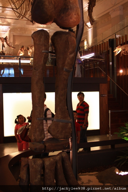 IMG_5680.JPG IMG_5680.JPG