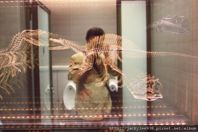 IMG_5700.JPG IMG_5700.JPG