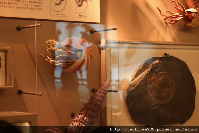 IMG_5662.JPG IMG_5662.JPG