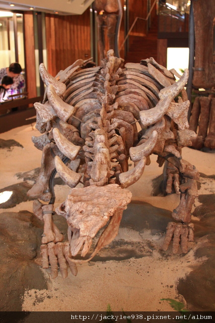 IMG_5666.JPG IMG_5666.JPG