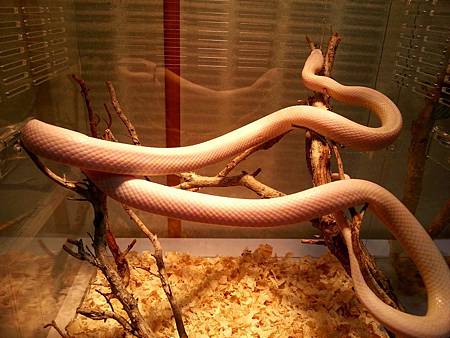 20131101_052118_copy