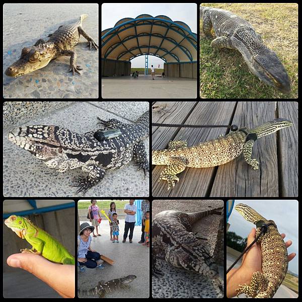 PhotoGrid_1404593917774[1]