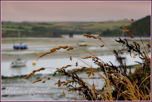 Padstow 02.jpg Padstow 02.jpg