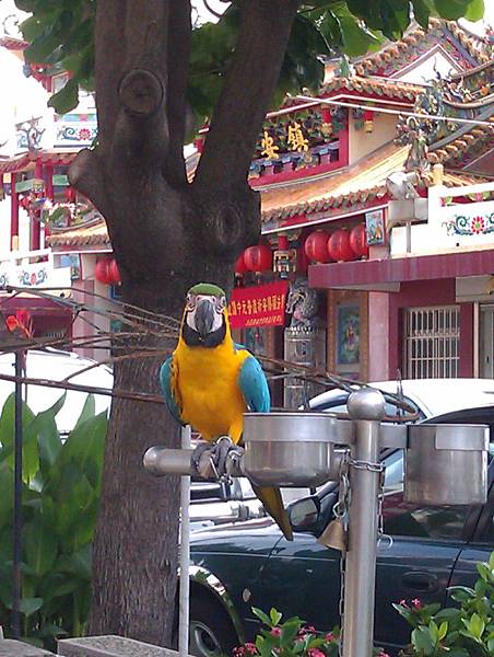 IMAG0418.jpg IMAG0418.jpg