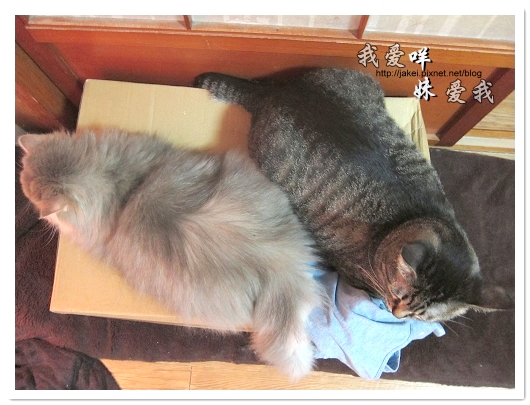 100501 分享 02.jpg 100501 分享 02.jpg