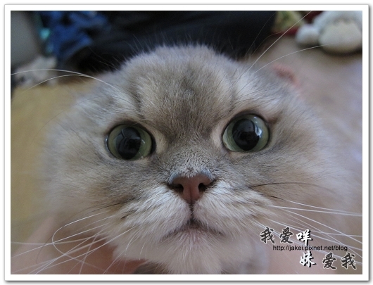 100522 咩妹洗牙 01.jpg 100522 咩妹洗牙 01.jpg