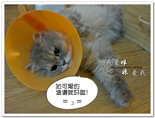 100504 內褲咩 13.jpg 100504 內褲咩 13.jpg