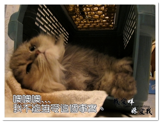 100320 咩的內心戲 06.jpg