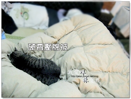 100417 一起睡 03.jpg