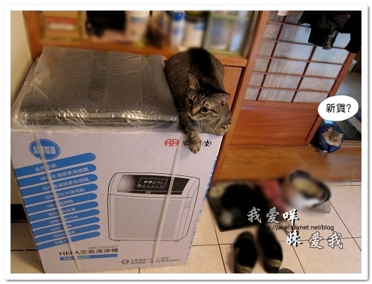 100728 大王清淨機 02.jpg 100728 大王清淨機 02.jpg