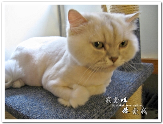2010-05 球球05.jpg 2010-05 球球05.jpg