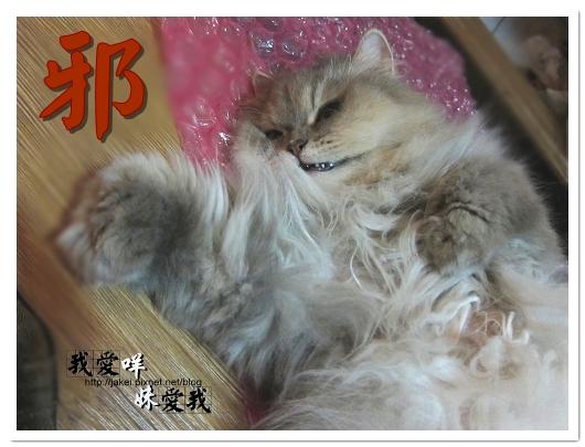 100320 變臉咩 1.jpg