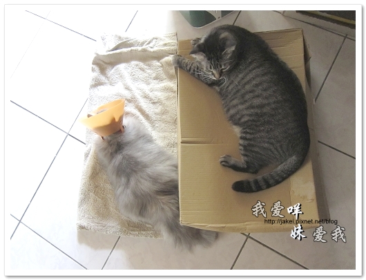 100501 分享 08.jpg 100501 分享 08.jpg