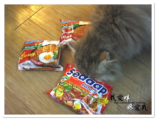 100418 印尼泡麵 01.jpg