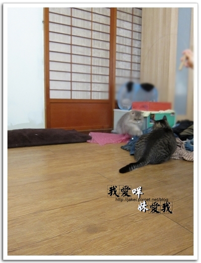 運動吧~班克 07.jpg