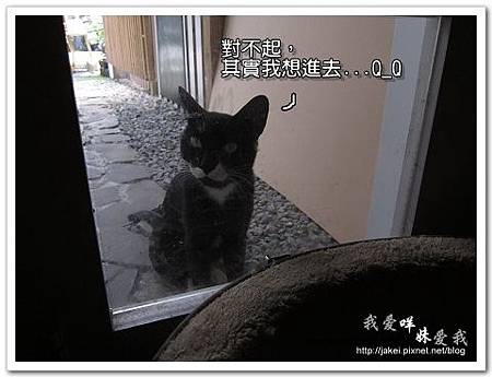 11-0723 午後慵懶的廊道 08.jpg 11-0723 午後慵懶的廊道 08.jpg