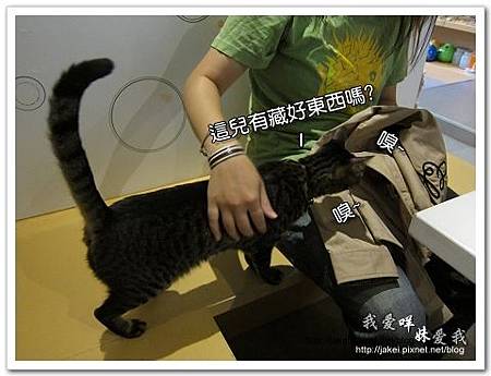 11-0723 午後慵懶的廊道 10.jpg 11-0723 午後慵懶的廊道 10.jpg