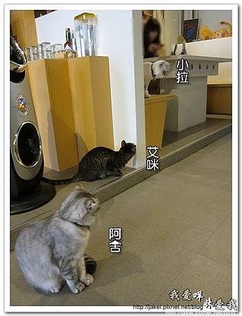 11-0723 午後慵懶的廊道 23.jpg 11-0723 午後慵懶的廊道 23.jpg