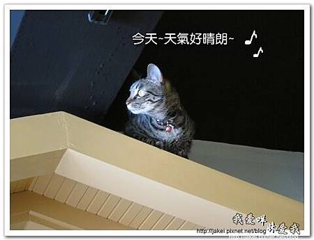 11-0723 午後慵懶的廊道 39.jpg 11-0723 午後慵懶的廊道 39.jpg