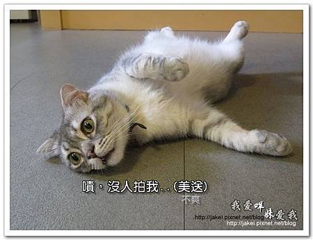 11-0723 午後慵懶的廊道 46.jpg 11-0723 午後慵懶的廊道 46.jpg