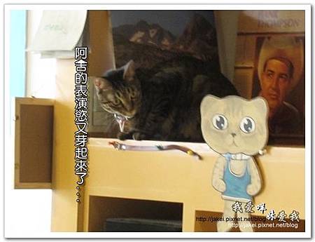 11-0723 午後慵懶的廊道 47.jpg 11-0723 午後慵懶的廊道 47.jpg
