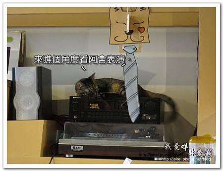 11-0723 午後慵懶的廊道 49.jpg 11-0723 午後慵懶的廊道 49.jpg