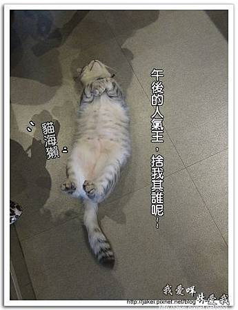 11-0723 午後慵懶的廊道 55.jpg 11-0723 午後慵懶的廊道 55.jpg