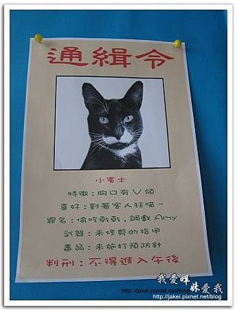 11-0723 午後慵懶的廊道 59.jpg 11-0723 午後慵懶的廊道 59.jpg