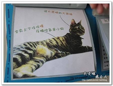 11-0723 午後慵懶的廊道 62.jpg 11-0723 午後慵懶的廊道 62.jpg