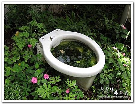 11-0723 午後慵懶的廊道 65.jpg 11-0723 午後慵懶的廊道 65.jpg