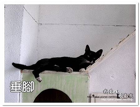 11-0723 午後慵懶的廊道 67.jpg 11-0723 午後慵懶的廊道 67.jpg