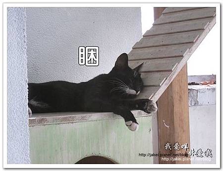 11-0723 午後慵懶的廊道 69.jpg 11-0723 午後慵懶的廊道 69.jpg