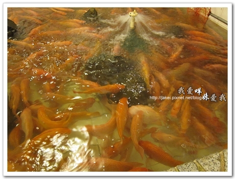 100802 獅子林 08.jpg 100802 獅子林 08.jpg