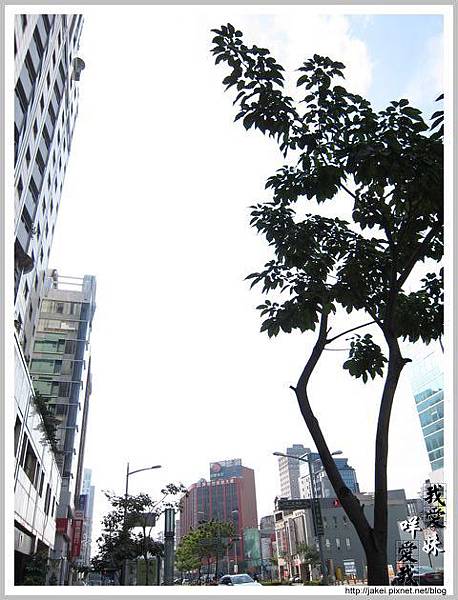 2012-01-22 高雄草圖咖啡 03.jpg 2012-01-22 高雄草圖咖啡 03.jpg