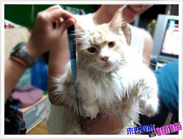 20120413 米魯 04
