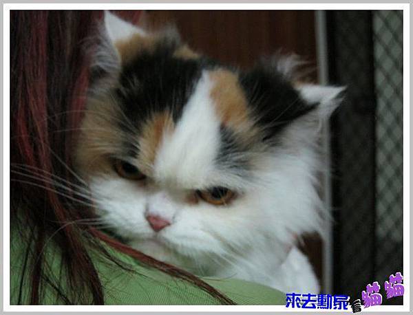 20120413 小公主 02 20120413 小公主 02