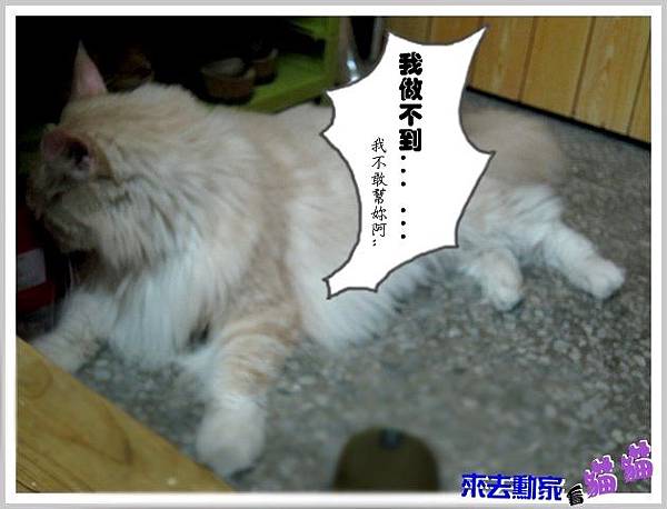 20120413 小公主 06 20120413 小公主 06